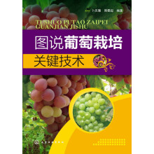 图说葡萄栽培关键技术