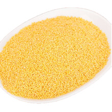 有机汇 生态小米 2020年新米 辉渠火山人家 约500g 火山灰梯田小米 月子米 孕妈食材