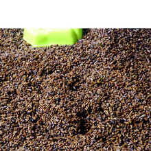 儿童沙滩玩具挖沙套装宝宝挖沙工具塑料小桶铲子沙漏花洒决明子玩具玩沙工具 决明子5斤