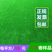 一棉缘仿真草坪人造草坪人工假草皮阳台幼儿园楼顶绿色草坪地毯垫装饰 工程款0.8公分