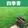 四季青草坪一平方