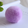 浅紫色