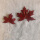 巨无红枫叶10-12厘侎 4片