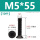 M5*55(10个)
