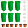 绿色6个：种植杯+海棉+培植杯