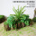 50厘米青苔树皮花器+20叶凤尾蕨
