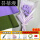 18紫色郁金香带包装纸