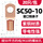 SC50-10本色20只