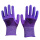 12双紫色发泡王