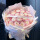 19朵厄瓜多尔欧若拉玫瑰花束ZZ