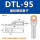 DTL95(国标)10只