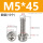 M5*45(10个)