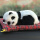 熊猫-红色垫子