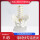 小型桌上骨盆附五节腰椎 送底座和支架