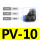 PV-10【10只】