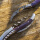 紫骆驼骨收藏家大马钢刃