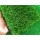 3厘米加密春草 4x25米