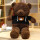 咖啡海藻熊/可爱小熊(黑色)