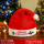 SDM-57刺绣帽 merry christmas