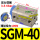 SGM-40