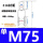 M75单滑轮(316材质)