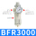 BFR3000(铜滤芯)铁罩/精品型