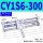 CY1S6-300