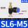 蓝SL6-M5