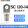 120-14（10只）