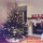 精品云杉圣诞树2.4-2.6米高 0个 0cm