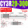 CY3R20-300