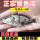 30条 白眼鳜鱼1-2厘米