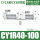 CY1R40-100
