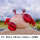 花色螃蟹卡通款340cm