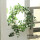 白色奥格斯玫瑰花藤1.75米