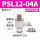 PSL12-04A