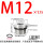 M12*1.75