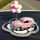 粉色小车粉白气球茶花垫