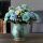 蓝底孔雀花瓶+3束蓝色松果玫瑰