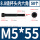 M5*55（50只）