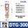 DTG-300【1只】接300平方铜线