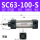 SC63-100-S 带磁