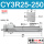 CY3R25-250