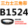 黑色 B1524.Li