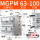 MGPM63-100Z