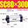 SC80X300