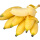 小米蕉40～50厘米高2棵