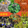 紫+黑+黄+橙+绿+蓝 6色植物+蒸布