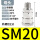 SM20（10个装）