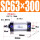 SC63-300